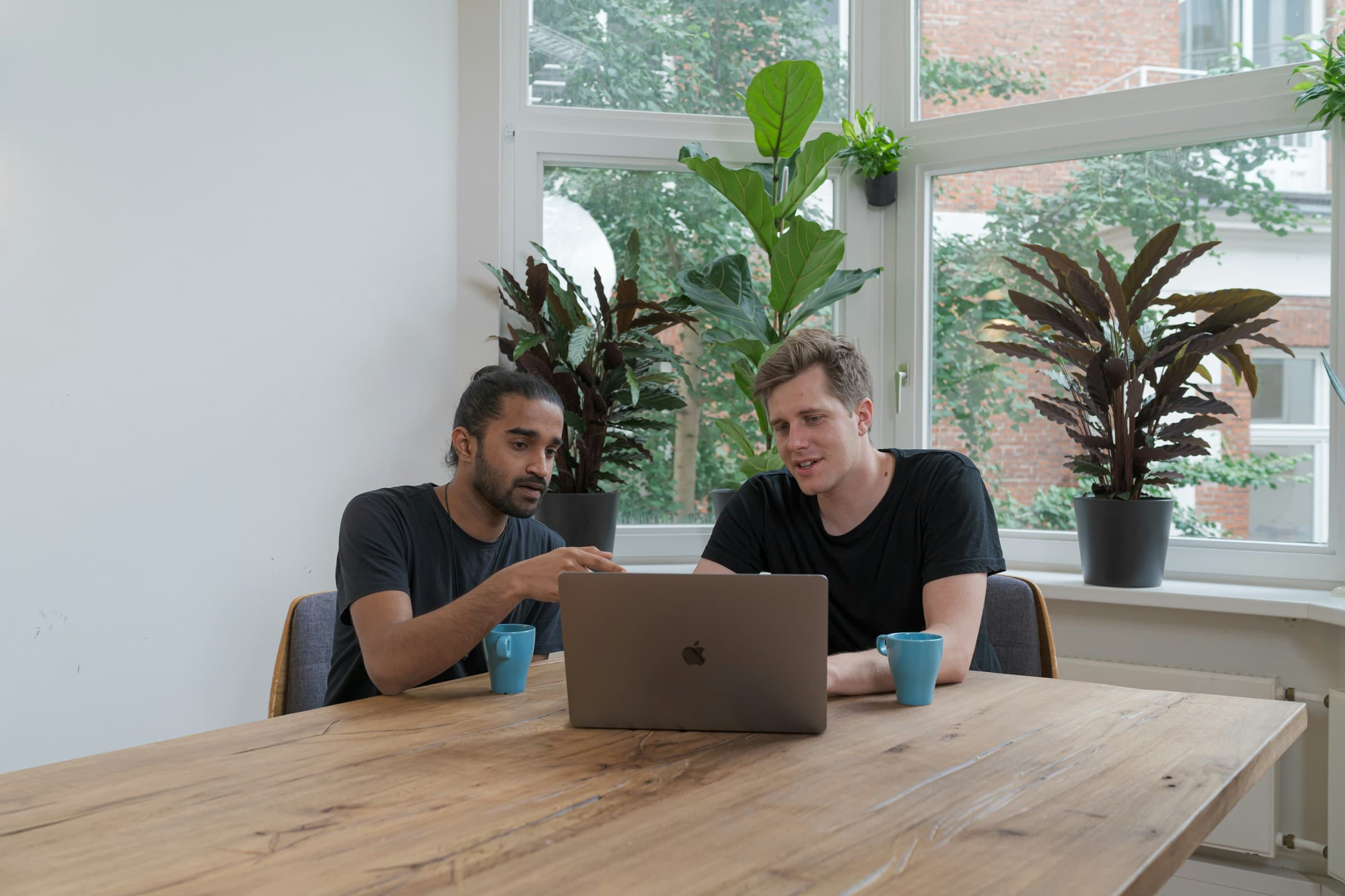 Two colleagues at a laptop by a bright window with plants